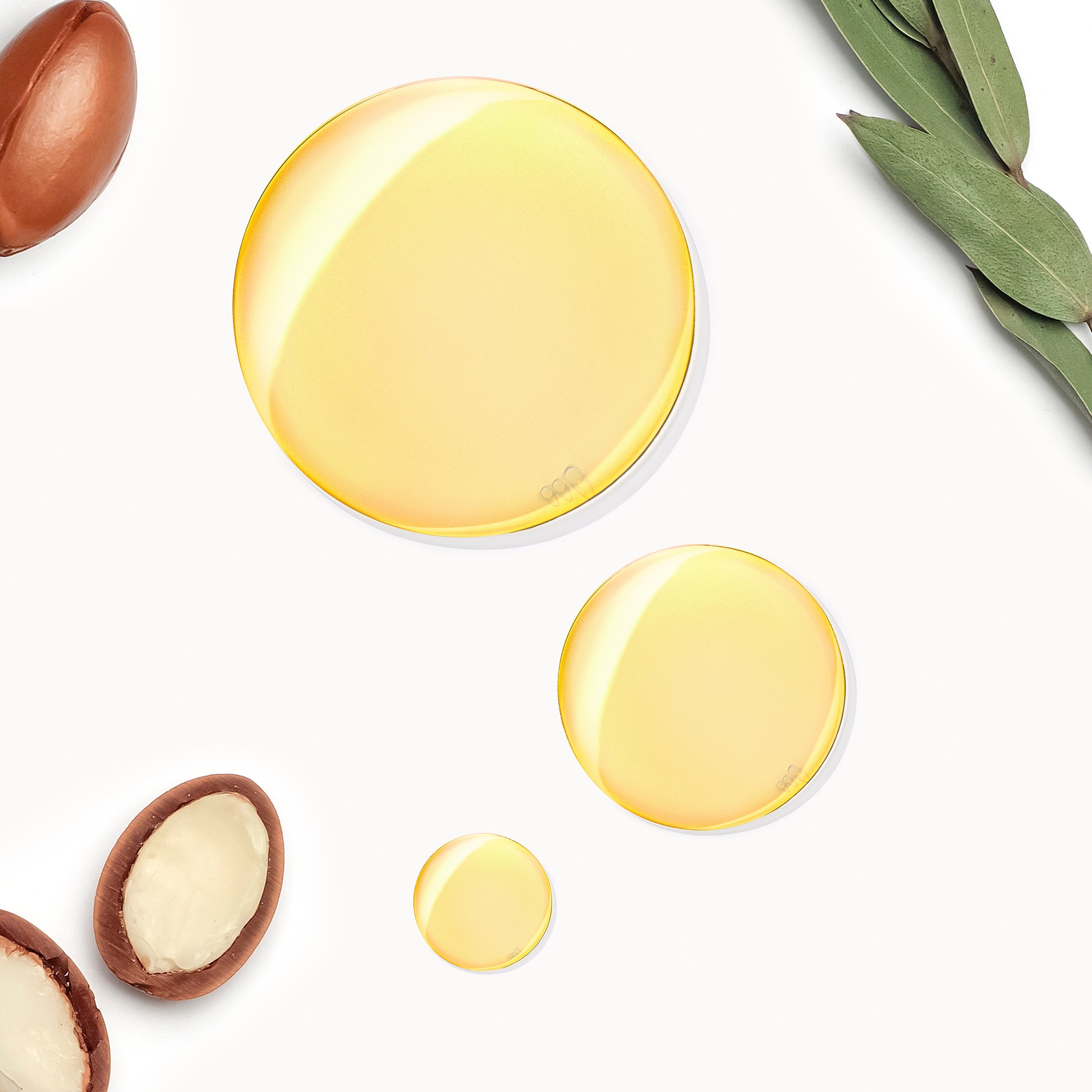 Vedere de sus cu trei picături aurii de ulei de argan natural Pure Argan Elixir, alături de nuci de argan și o ramură de frunze verzi pe un fundal alb pur, subliniind calitatea și puritatea ingredientelor.